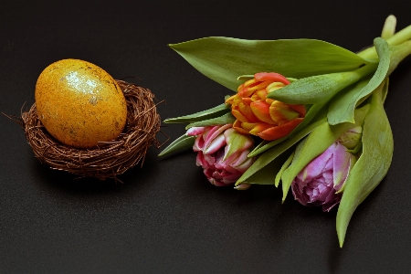 Foto Alam tanaman buah daun