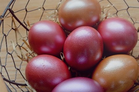 Anlage frucht essen rot Foto