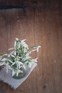 Photo Tableau usine bois blanc