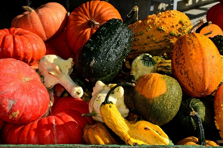 Ripe decoration orange food Photo