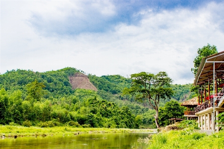 風景 木 森 山 写真