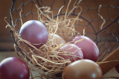 Branch flower decoration food Photo