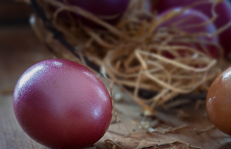 Zdjęcie Zakład kwiat żywność produkować