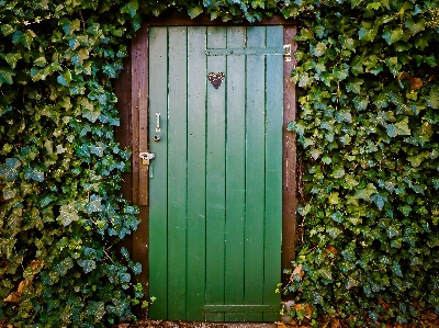 Fence wood window old Photo