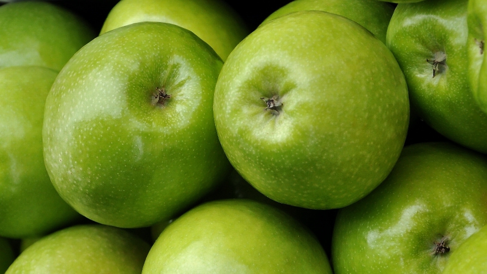 Apple 植物 水果 食物