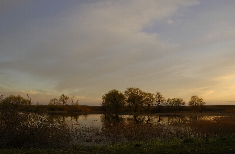 Landscape water nature horizon