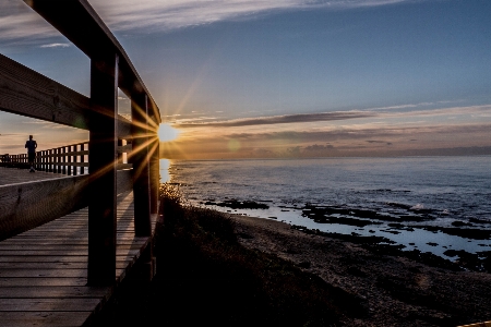 Beach sea coast nature Photo