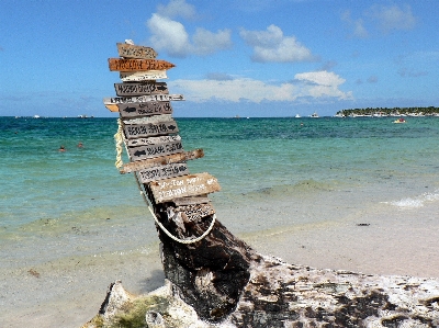 Beach sea coast ocean Photo