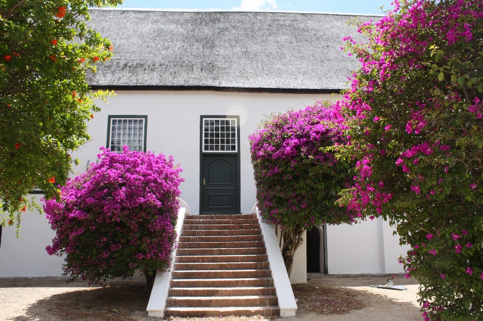 Villa casa flor edificio