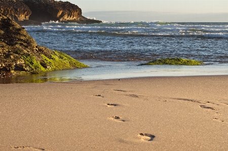 Beach sea coast nature Photo