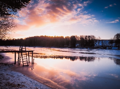 Foto Paesaggio acqua natura foresta