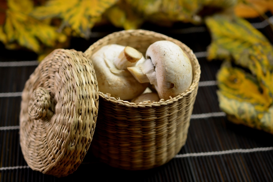 Wood rustic dish meal