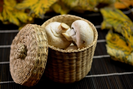 Wood rustic dish meal Photo