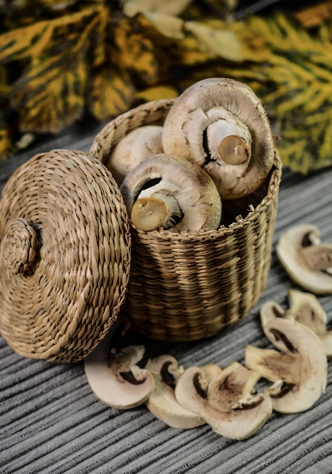 Wood rustic dish meal