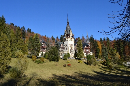 Foto Paisaje árbol bosque montaña