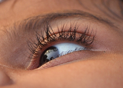 Brown blue eyebrow mouth Photo