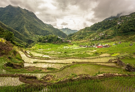 Landscape nature grass outdoor Photo