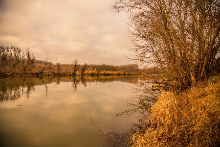 Landscape tree water nature Photo