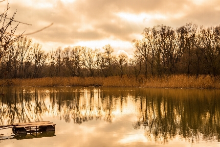 Landscape tree water nature Photo