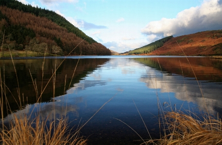 Landscape water nature forest Photo