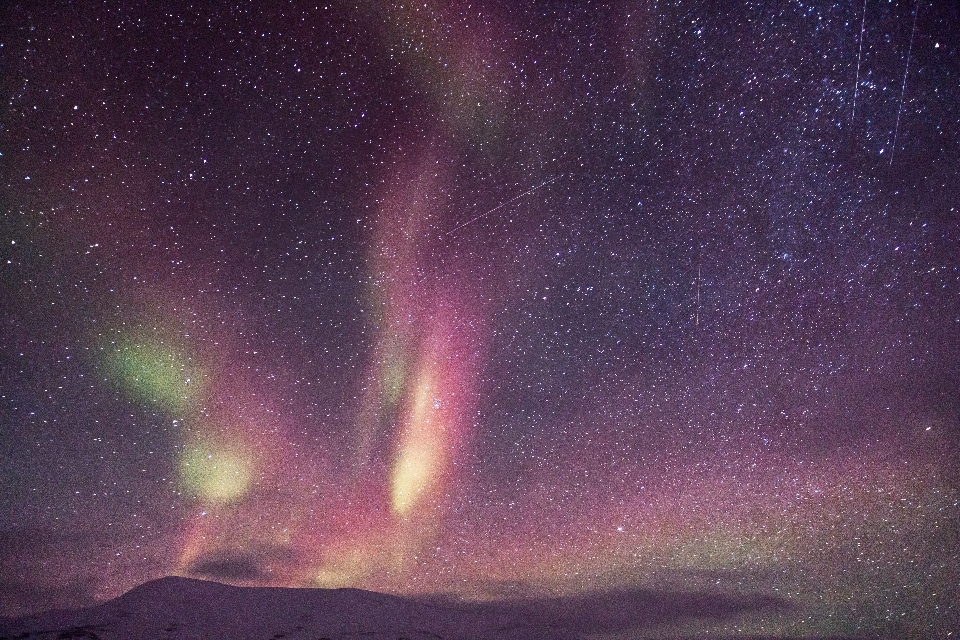 Nature snow night atmosphere