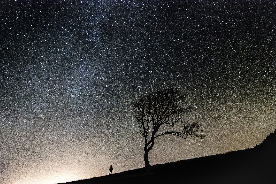 Bayangan hitam langit malam bintang