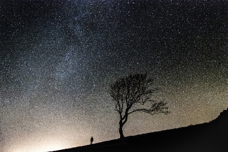 Foto Silhueta céu noite estrela