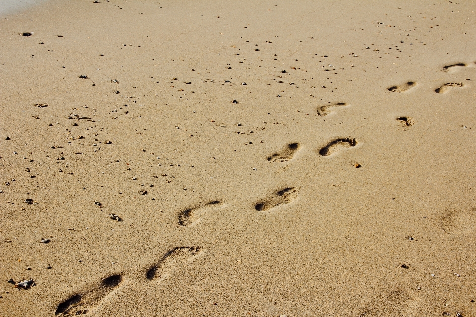 Strand meer sand sonne