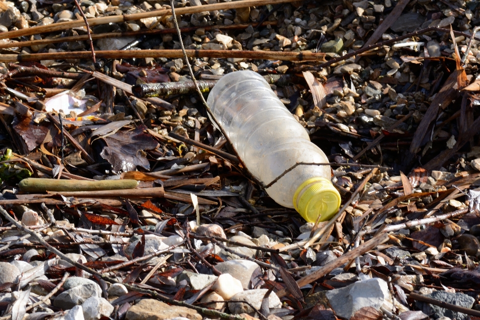 Strand natur holz plastik