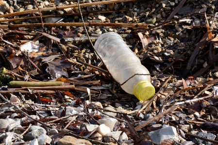 Beach nature wood plastic Photo