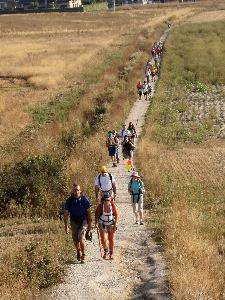 Landscape path walking trail Photo