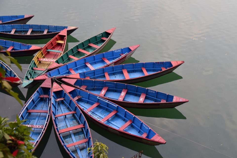 água natureza asa barco