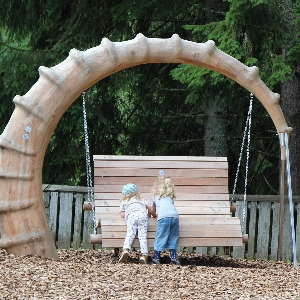 Nature wood girl play Photo