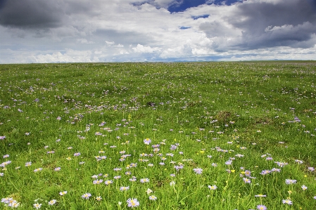 Landscape water nature grass Photo