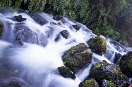 Zdjęcie Krajobraz woda natura las