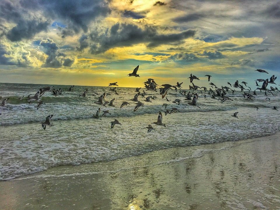 Beach sea coast water