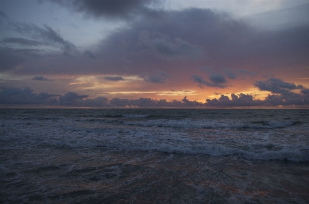 Beach sea coast water Photo