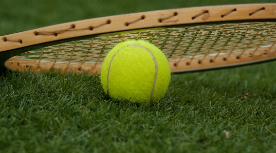 Grass sport green baseball field Photo