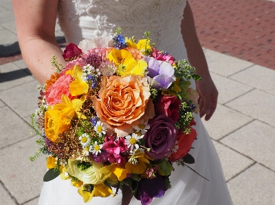 Plant flower love bouquet Photo