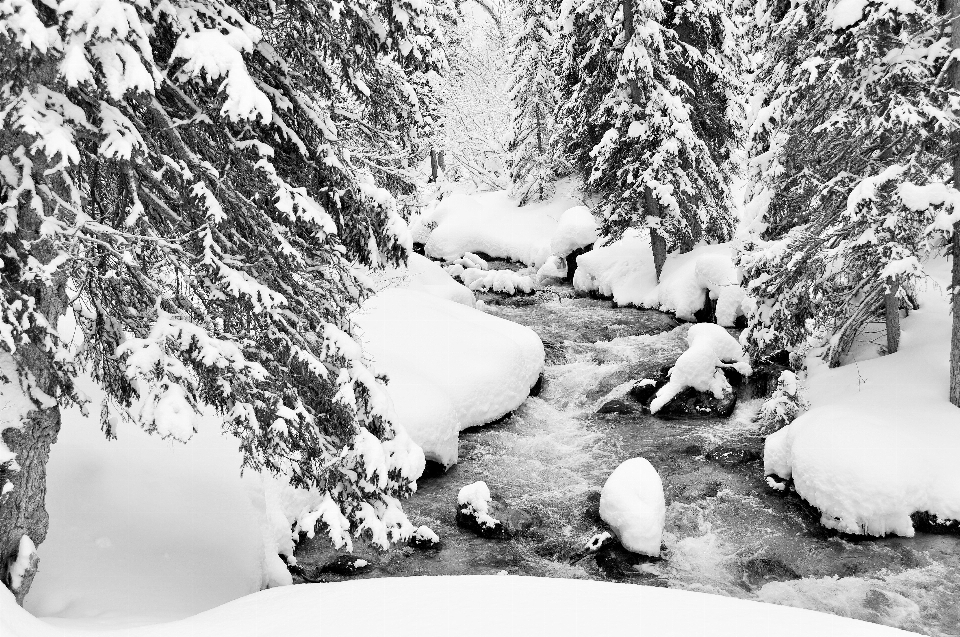 Landschaft baum wasser natur