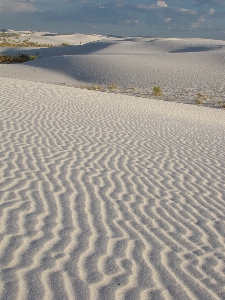 Beach landscape sea coast Photo