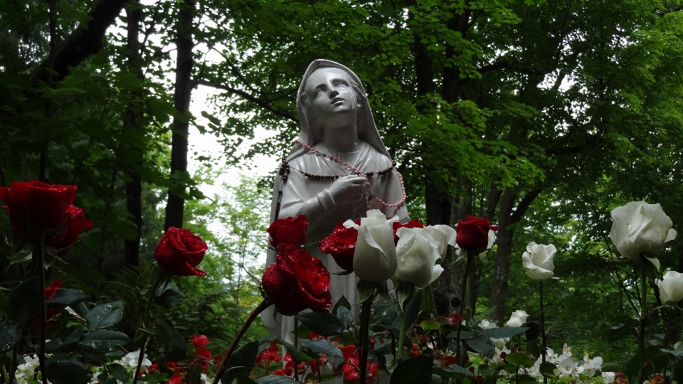 Architecture usine fleur monument