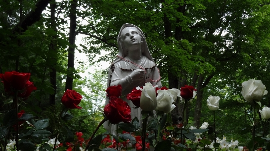 Photo Architecture usine fleur monument