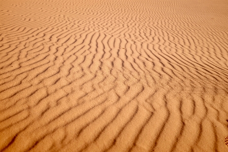 Landscape outdoor sand field Photo