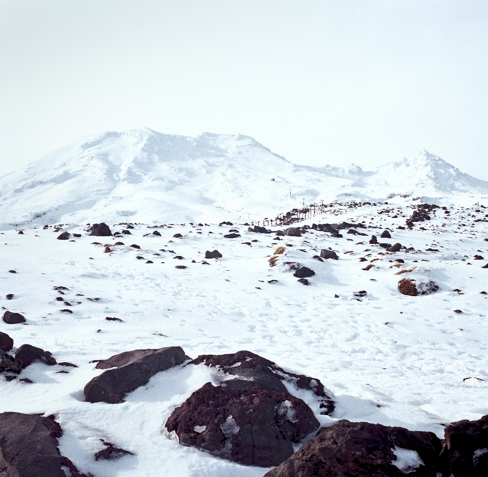 景观 户外的 山 雪