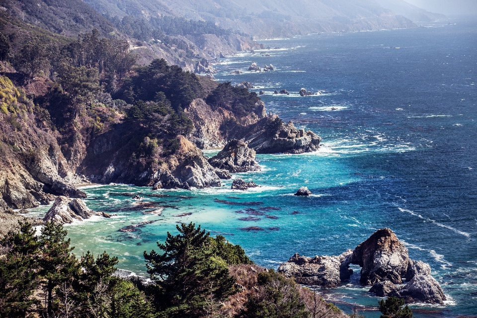 風景 海 海岸 水