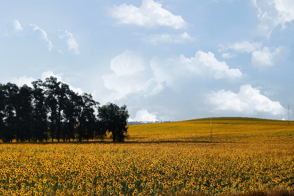 Landschaft natur horizont wolke