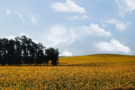 Landscape nature horizon cloud Photo