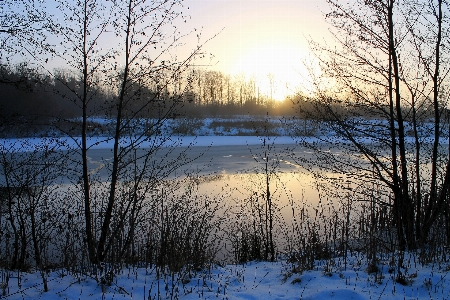 Landscape tree water nature Photo