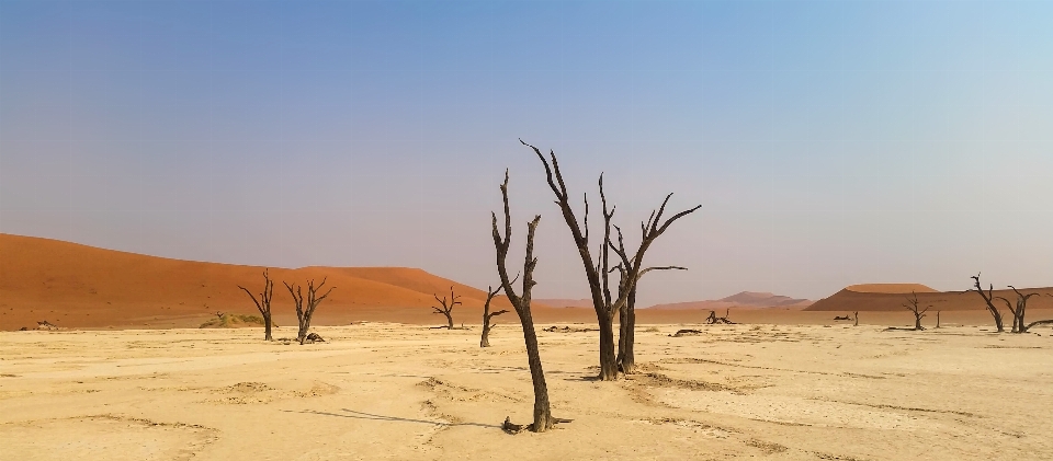 Landschaft natur sand prärie
